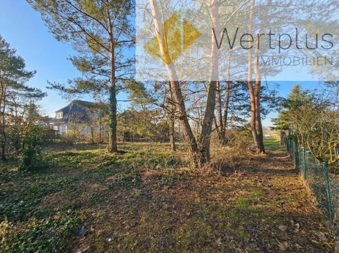 Baugrundstück in Bergen an der Dumme Immobilienangebot